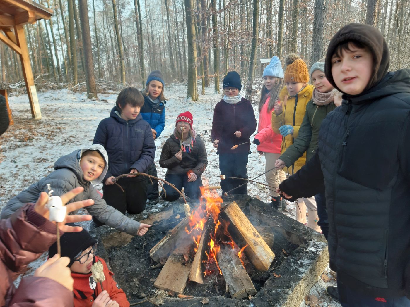 Impressionen aus dem Schulwald im Dezember