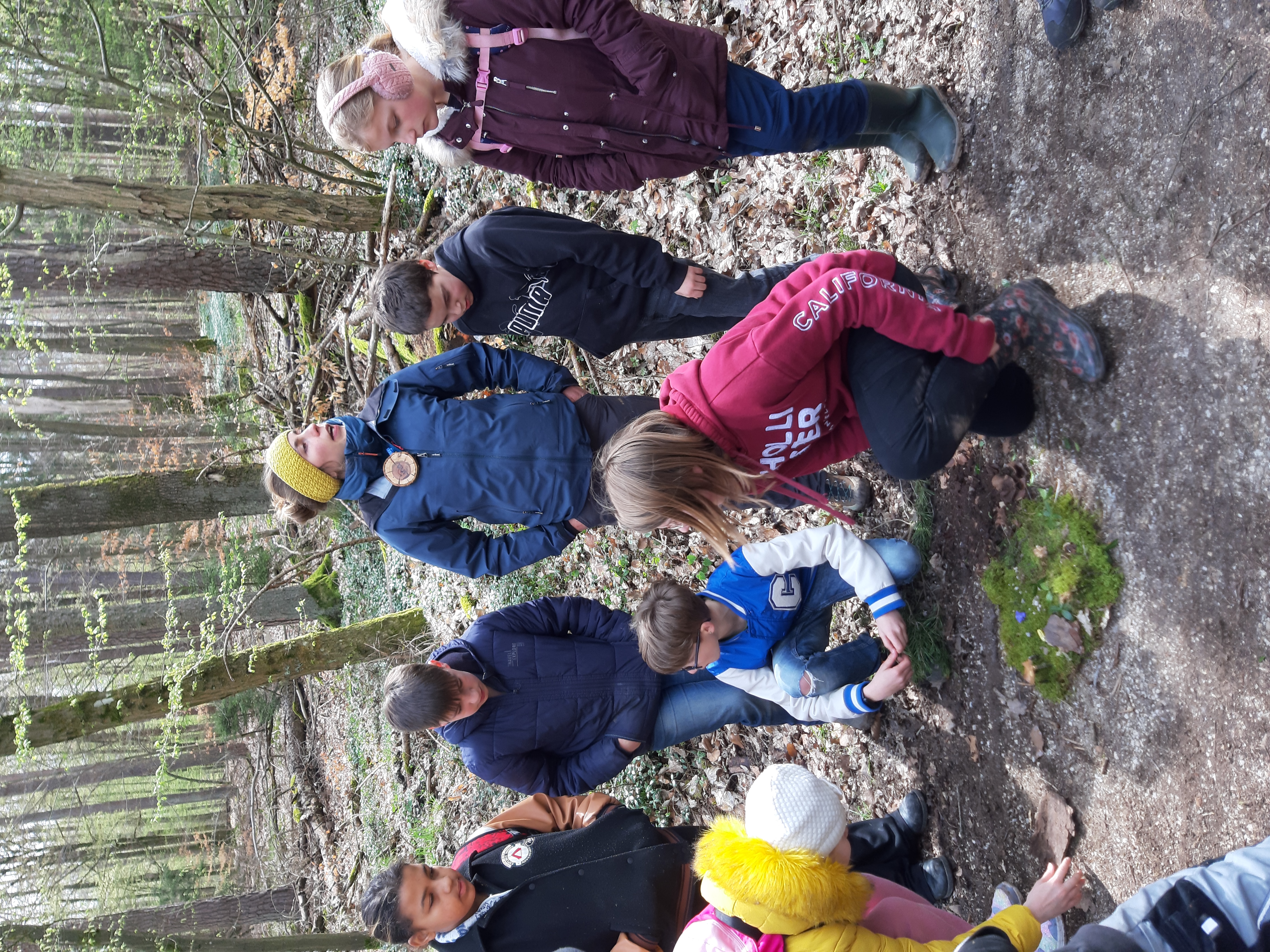 Impressionen aus dem Schulwald im April